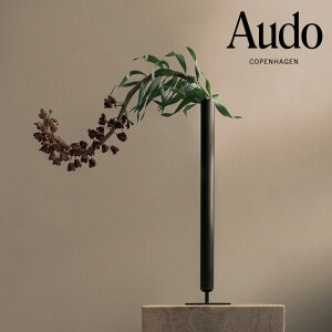 yz k Audo X^Xx[X H50 4785859 Living CeA Ԋ ԕr ^J kG kCeA f}[N 