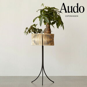 y|Cg10{! 12/11 1:59܂Łzyz k Audo j[ E}mt v^[ H69 5712539 k A Ƌ CeAG v^[  ybsOsz