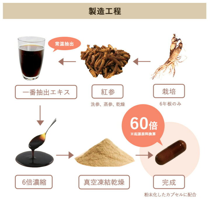 楽天市場】韓国 サプリ J