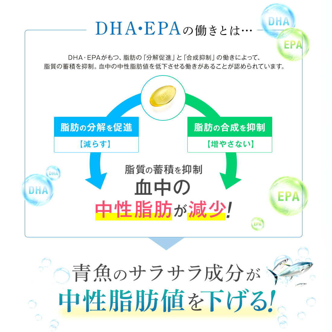 DHAサプリEPA 青魚　30粒　日本製　ビタミンE