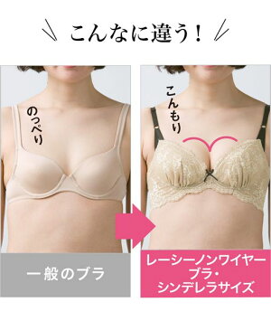 楽天市場 小胸さんも無理なく美胸 こんもりバストがかなう レーシーノンワイヤーブラ シンデレラサイズ ブラ ブラジャー 谷間 レディース カップ ノンワイヤー レース Aカップ ディーエイチシー 下着 ノンワイヤーブラジャー レースブラ 小胸 寄せ 上げ 女性 Dhc
