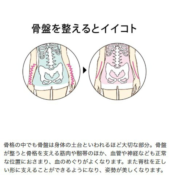楽天市場 骨盤部分をしっかりサポートするガードル 綿混骨盤 サポートガードル 大きいサイズ Dhc レディース ガードル 補整 補整下着 補整ガードル 大きいサイズ プラスサイズ 骨盤 骨盤ケア 引き締め ヒップアップ お腹ケア Newproduct Dhc楽天市場店