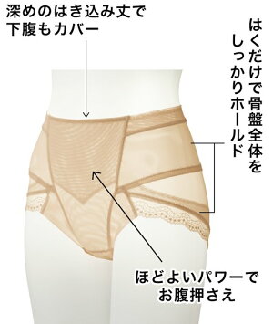 楽天市場 お買い得 はくだけで骨盤をサポートしてくれる大人気ショーツ 3枚組 骨盤 ショーツ Dhc レディース ショーツ ガードル ガードルショーツ 補正 補整 骨盤 骨盤補整 骨盤サポート くびれ 下腹 引き締め ヒップアップ ぽっこりお腹 3枚組 セット Newproduct