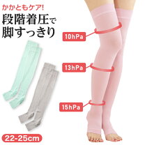 楽天市場】着圧 バンビーナの通販 