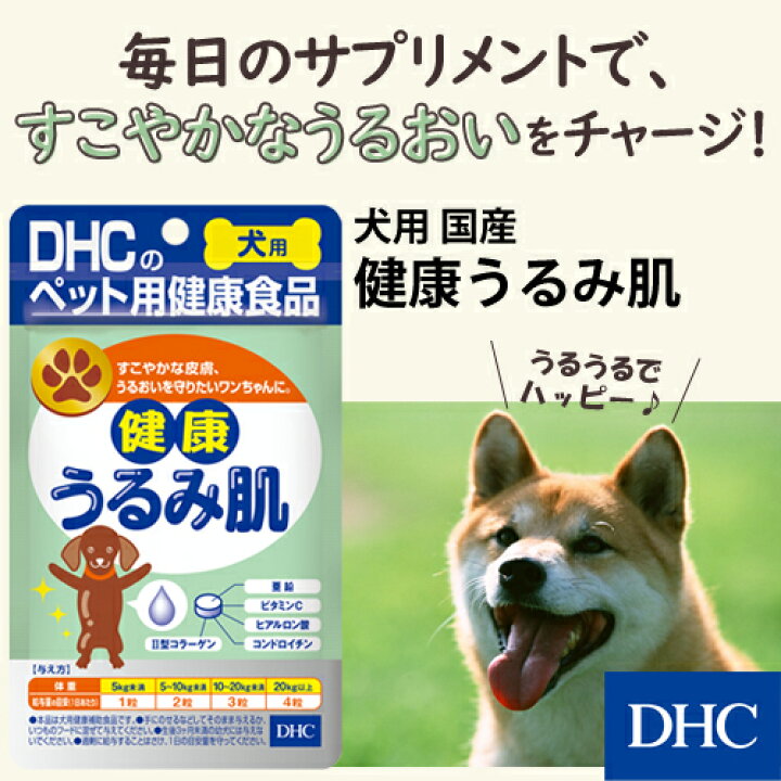 市場 デオドッグ 犬用 消臭 快臭サプリメント 市場 デオドッグ 犬用 消臭 快臭サプリメント