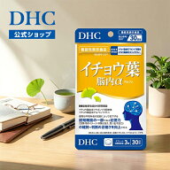 楽天ランキング受賞！ 【店内P最大18倍以上開催】記憶力の維持や判断力をサポート【DHC直販】イチョウ葉 …