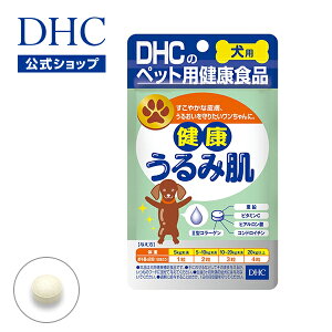 yXPő18{ȏJÁz₩Ȕ畆A邨肽 yDHĆzp Y Nݔ | dhc Tvg Tv  ybg 畆  ybgp ێ ybgTv 