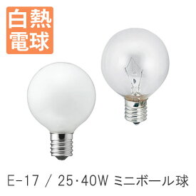 白熱電球 E-17 G50 ミニボール球 【ディクラッセ公式店】