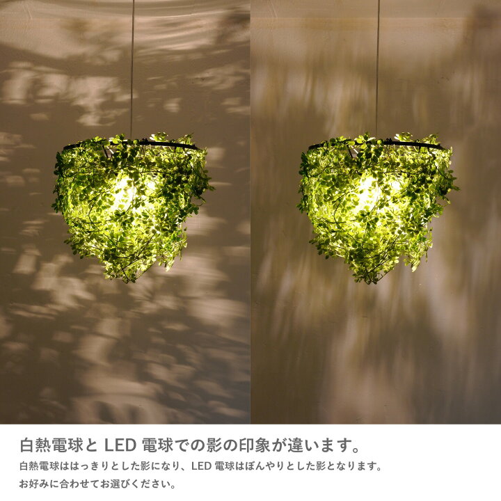 楽天市場】ペンダントライト ミニ フォレスティ 【白熱電球付属】 LED 