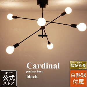 y_gCg 6 J[fBi ubN yMdtzLEDΉ g Vv px V[OCg CeAƖ Ɩ Cardinal LP3122 k fBNbZX