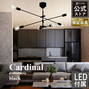 y_gCg 6 LED J[fBi ubN yLEDdtzCeAƖ X܏Ɩ V[OCg Ɩ Cardinal LP3125 k g Vv fBNbZX