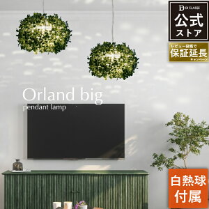 I[h rbO y_gCg LEDΉ 1 100W 38cm k Ɩ Ɩ  ݂艺 k yfBNbZXz