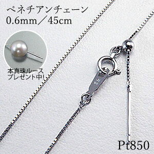 ňl풆{^샋[X v[gI[n] XCh`F[lbNX@XChsxl`A`F[ 0.6mm^45cmPt850(v`i) pt PTyXChAWX^[zyv`il