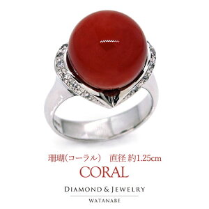 y1_ 󏭕΁zӕʏt^O X(R[) a[12.7mm]_Ch0.11ctPt900(v`i PT pt) y3a΁^񂲁^TS^wցzyK^⌒N̏ےzyTCY