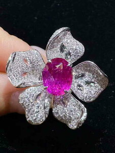 2.51Jbg VR M  m[q[gp[vTt@CA 18KzCgS[h t[y^O