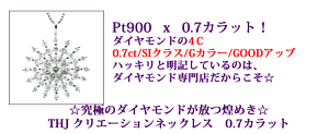 Pt900THJクリエーションネックレス0.7cte
