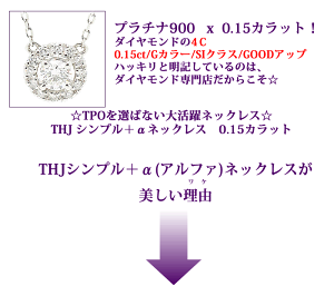 Pt900シンプル+α(アルファ)ネックレスD0.15cte