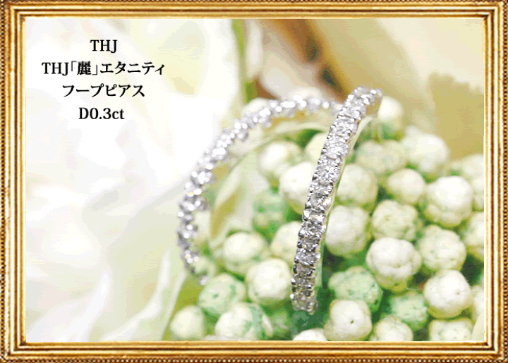 A4等級以上 ピアス 0.3ct プラチナ900 THJ「麗」エタニティ フープピアス D0.3ct 高品質SIクラス以上 ダイヤモンドジュエリー専門店の新しい11石エタニティリング☆ETERNITY RING ダイヤモンド専門店THJ 0.3ct プラチナ900 THJ「麗-eleven」エタニティリング D0.3ct エタニティ 高品質SIクラス以上 11石 Pt900 ファランジリング プレゼント