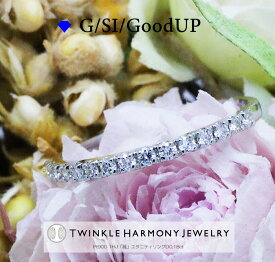 ダイヤモンド専門店THJ 0.18ct Pt900 THJ「麗」エタニティリング D0.18ct ハーフエタニティ 高品質SIクラス以上 15石 Pt900 プラチナ900 ピンキーリング ファランジリング プレゼント 指輪