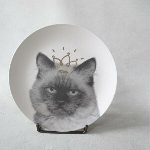 yJubileezLfUC GRou[M 5Mtg{bNXZbg 20cm@H/̓/v[g/ɂ/ɂ₳y//t/Aj}/v[g/j