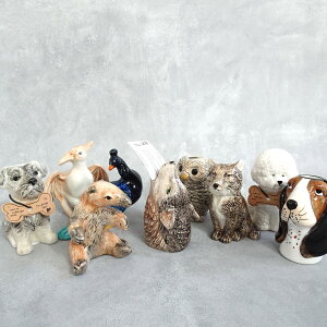 yAnimal VasezAj}t[x[X/v`Mtg/ԕr/֑}/~jTCY//R/NWN/`xbgXiMcl/IIJ~//ViEU[/rVt[[