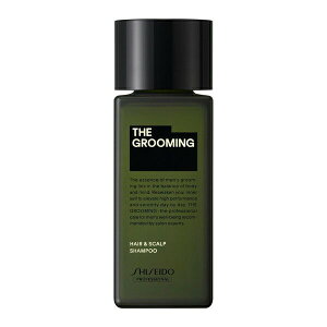 UEO[~O Vv[ 120ml Y gx TEeꔄiy SHISEIDOz