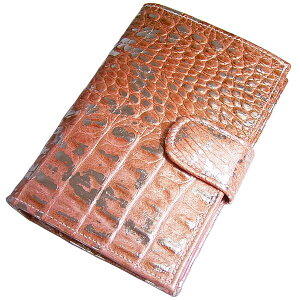 z ܂ fB[X NR^ NR_C vz C^A ibpv e ^UP ANTONINI Agj[j AWF_ERbR ꗱ{