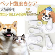 マッサージ 猫 歯垢 犬 ナノフォーム 歯周病 除去 安全 シルクケア 歯磨き 歯石 ケア 歯茎 6本セット 低…