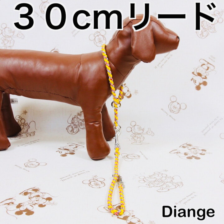 楽天市場】《オーダー 色パターン1》 30cm カフェリード パラ  