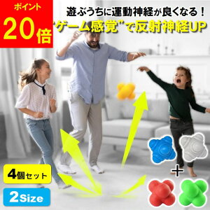 yyVSSԃ|Cg20{!z ANV{[ oEh{[ ː_o g[jO Q[  {[ CM[{[ ̎ u 싅 ZX{[ g[jO{[