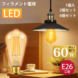 【8.4-8.11 P5倍! +100円クーポン フィラメント電球 E26】DiCUNO LED電球 E26口金 60W形相当 エジソンバルブ エジソン電球 6W 806lm 茶色 裸電球 レトロ アンティーク ヴィンテージ 全方向広配光 省エネ 長寿命 リビング ダイニング カフェ 店舗照明 1個/2個/6個