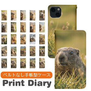 Galaxy S26 SM-S942C �蒠�^ GalaxyS26�P�[�X �M�����N�V�[S26�P�[�X GalaxyS26�J�o�[ �M�����N�V�[S26�J�o�[ �g�уP�[�X �g�уJ�o�[ sms942c�P�[�X sms942c�J�o�[ bo035