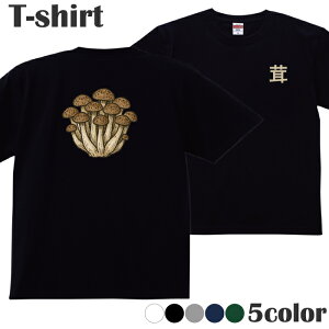 TVc ̂ LmR  ߂ V[ vgTVc  ێ N[lbN Y fB[X WjA LbY 100 Rbg100 ʋC z ubN zCg lCr[ O