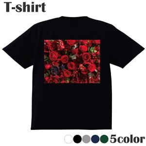 TVc  flower  bh red vgTVc  ێ N[lbN Y fB[X WjA LbY 100 Rbg100 ʋC z ubN zCg lCr[ O[ O[ 