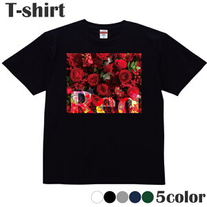 TVc  flower  bh red vgTVc  ێ N[lbN Y fB[X WjA LbY 100 Rbg100 ʋC z ubN zCg lCr[ O[ O[ 