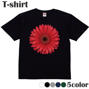 TVc  t[ flower  bh red vgTVc  ێ N[lbN Y fB[X WjA LbY 100 Rbg100 ʋC z ubN zCg lCr[ O[ 