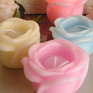 Lh Lavieenrose/rA[YE[Lh6Zbg@Lh[Ɏgpł悤ɐc͒߁@J}