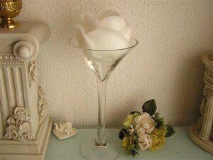 �O�����x��S�O���X�L�����h���z���_�[����35cm�̃J�N�e���O���X�^�@�J�����}�L�����h��