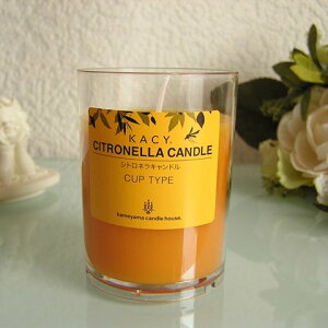 y悯 Lhz VglJbv20ԃ^Cv VR̒ A}@ƂVglɃ[JICz@J}