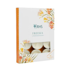 yZ[zRHStOgK[f eB[CgLh12 t[WA bNXJ COh