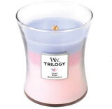 �ܥ��˥��륬���ǥ�