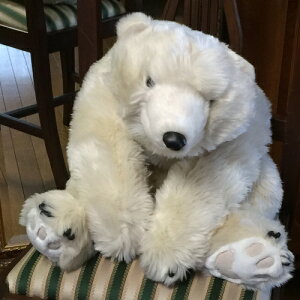  ʂ |[[xA nO Sn̗ǂAj}nOI AJ̃h[[J[ DitzDesign o[XfC v[gɁI ykCEEzsz