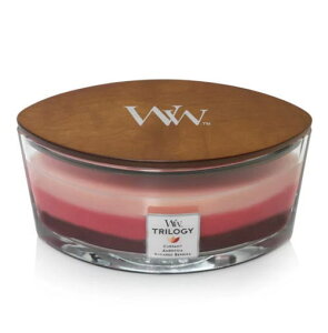 yKizLh gW[n[XEBbNL t[ceve[VYgFł߂Č OX Lh p`p`ƉA}Lh Wood Wick EbhEBb