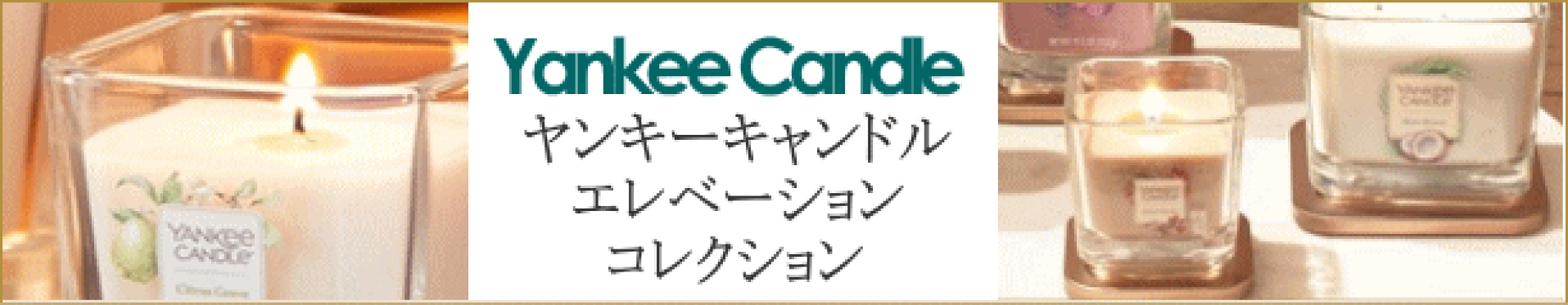 YCエレベーションコレクション