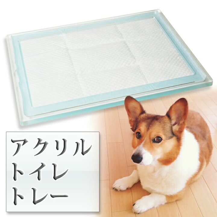 楽天市場 Kuai ペットトイレ トレー 犬 アクリル Sサイズ 犬用トイレ トレー クリア 犬トイレ 犬のトイレ 丸洗い 洗える 収納 介護 老犬 バリアフリー 犬のトイレ用品 オシャレ 小型犬 透明 ペット用品 ペットトイレ トイレトレイ お手入れ簡単 小さな雑貨店 Kuai