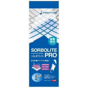 �\���{ ���C�gPRO �p�[�v�� ���{���@2S(22.0�`23.0cm)�E61757
