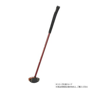 HH PGNu f^3 C ~M PH2333-66R