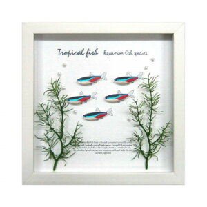 �A�[�g�t���[�� Neon Tetra ZAF-50795