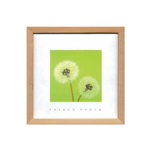 French Photography �t�H�g�A�[�g Dandelions ZFP-51913