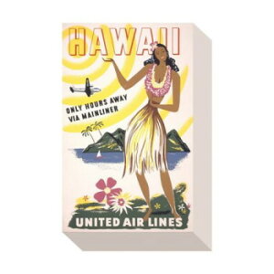 �~�j�p�l�� United air line �A�[�g�p�l�� ZAP-53677